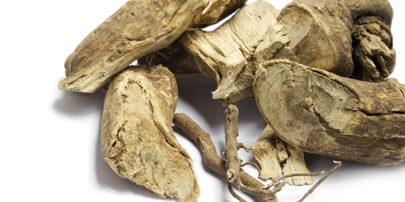 Éleuthérocoque : Ginseng de Sibérie en phytothérapie